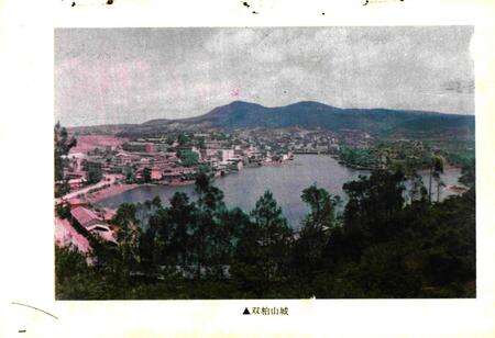 《双柏县林业志》.pdf_云南省志预览图2