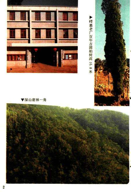 《双柏县林业志》.pdf_云南省志预览图3