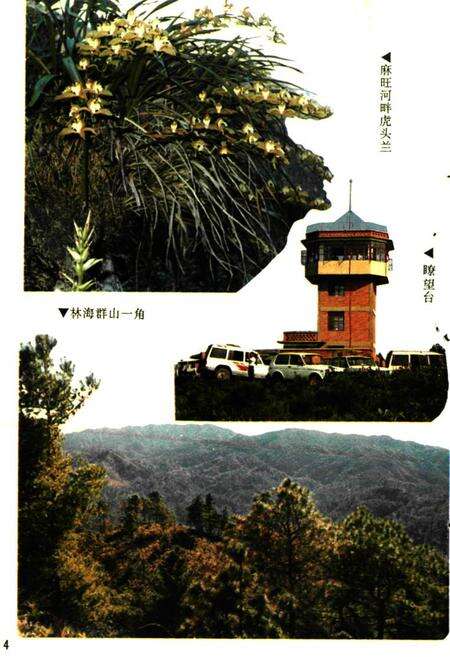 《双柏县林业志》.pdf_云南省志预览图5