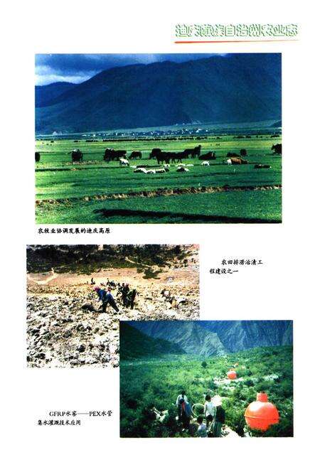 《迪庆藏族自治州农业志》.pdf_云南省志预览图4