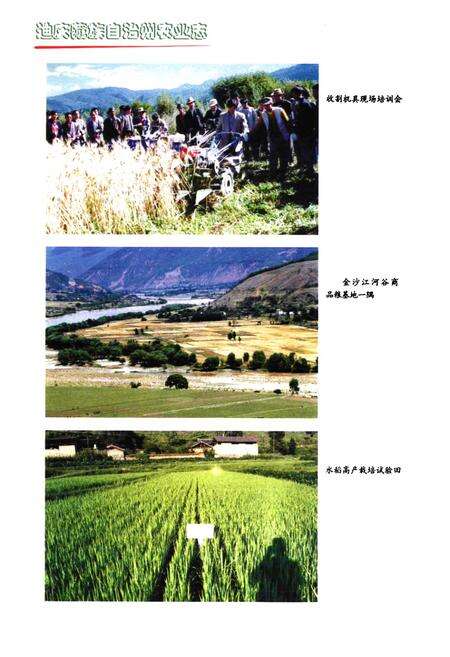 《迪庆藏族自治州农业志》.pdf_云南省志预览图5