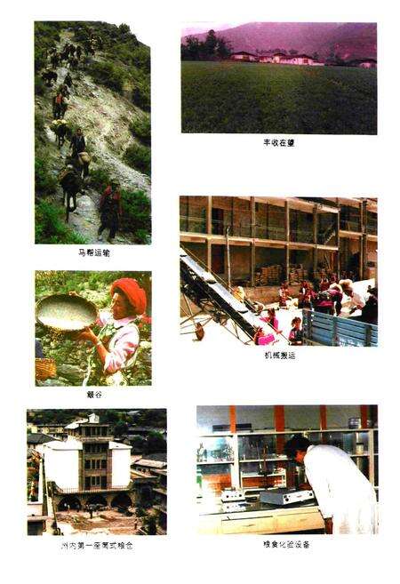 《迪庆藏族自治州粮食志》.pdf_云南省志预览图4