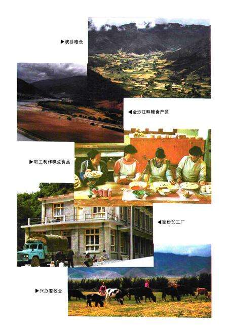 《迪庆藏族自治州粮食志》.pdf_云南省志预览图5