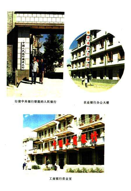 《弥渡县金融志(1912-1986)》.pdf_云南省志预览图2