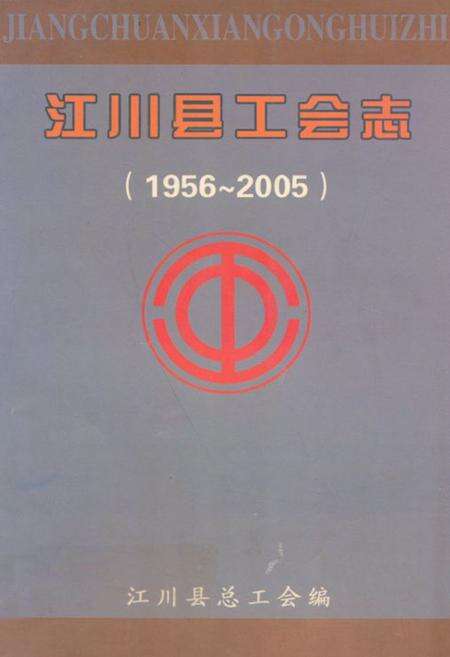 《江川县工会志(1956-2005)》.pdf_云南省志缩略图
