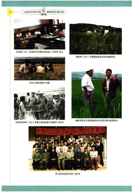《云南省农业科学院植物保护研究所所志》.pdf_云南省志预览图4