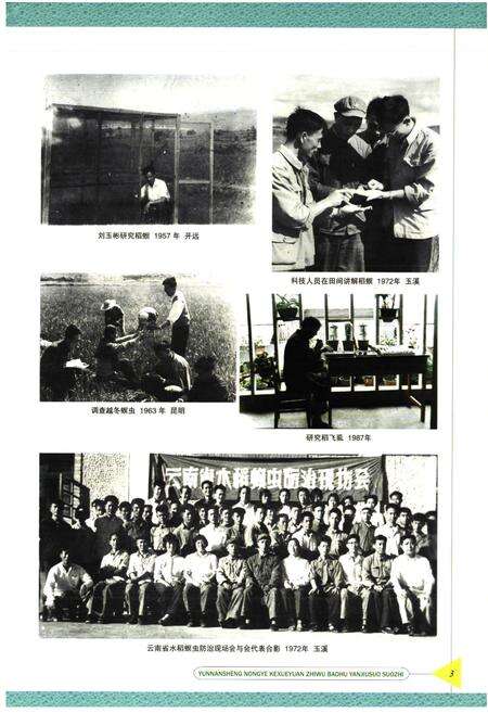 《云南省农业科学院植物保护研究所所志》.pdf_云南省志预览图5