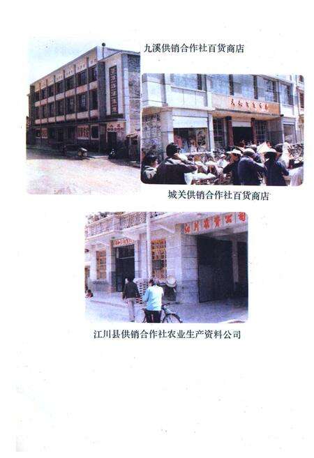 《《江川供销合作社志(1952-1985)》》.pdf_云南省志预览图5