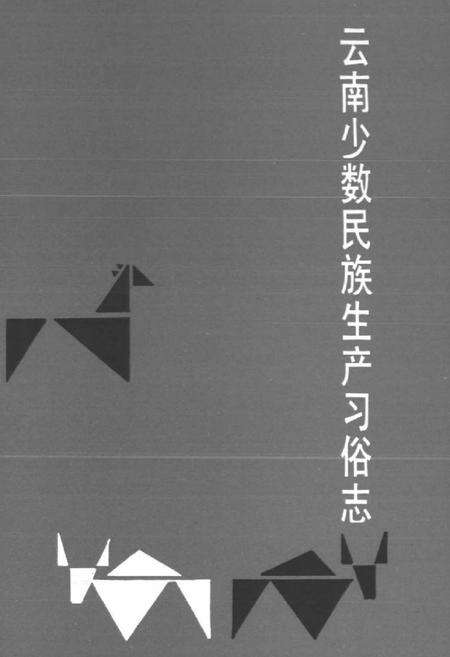 《云南少数民族生产习俗志》.pdf_云南省志预览图1