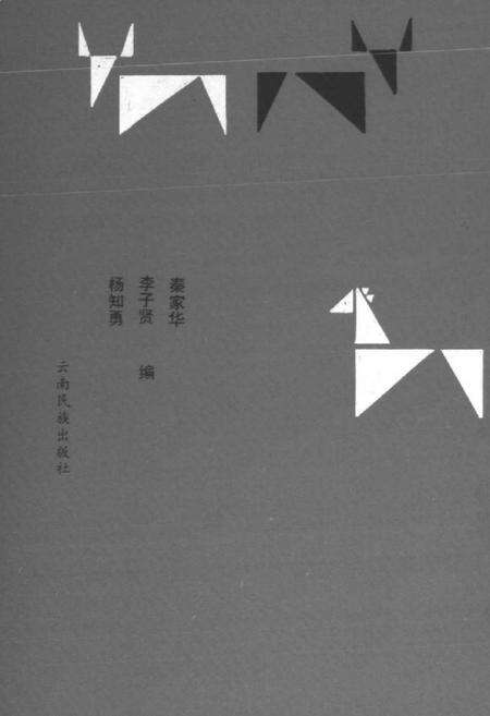 《云南少数民族生产习俗志》.pdf_云南省志预览图2