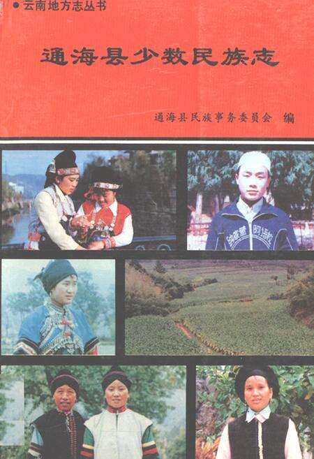 《通海县少数民族志》.pdf_云南省志缩略图