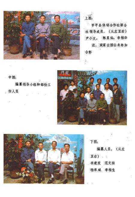 《《蜀平县供销合作社志(1952-1985)》》.pdf_云南省志预览图2