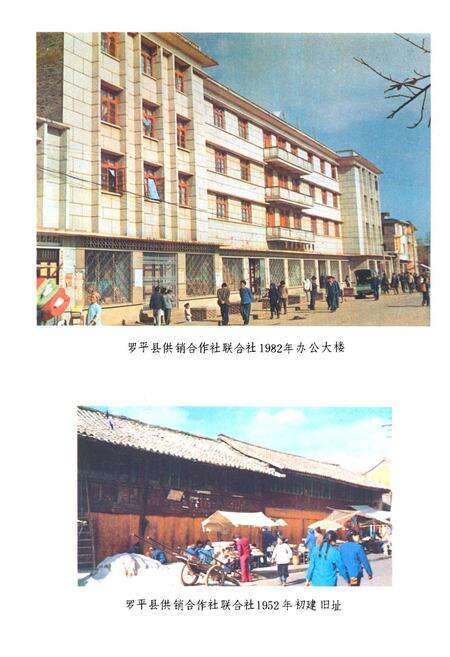 《《蜀平县供销合作社志(1952-1985)》》.pdf_云南省志预览图3