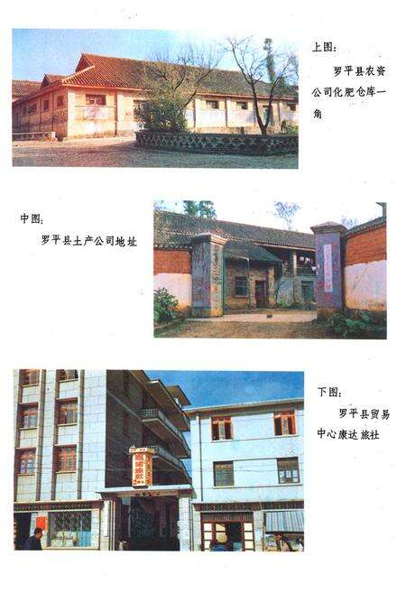 《《蜀平县供销合作社志(1952-1985)》》.pdf_云南省志预览图4