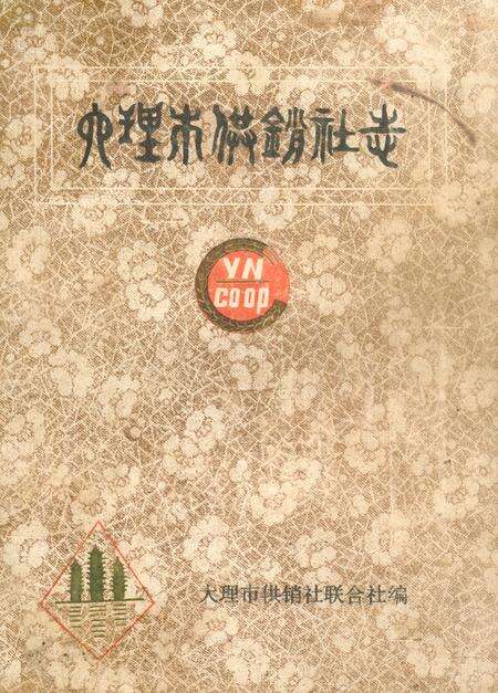 《《大理市供销社志》》.pdf_云南省志缩略图