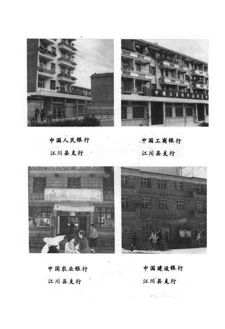 《《江川县金融志》》.pdf_云南省志预览图5