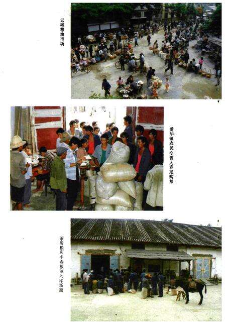 《云县粮油志》.pdf_云南省志预览图5