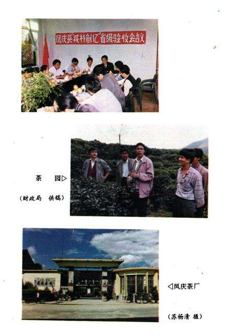 《凤庆县财政志》.pdf_云南省志预览图5