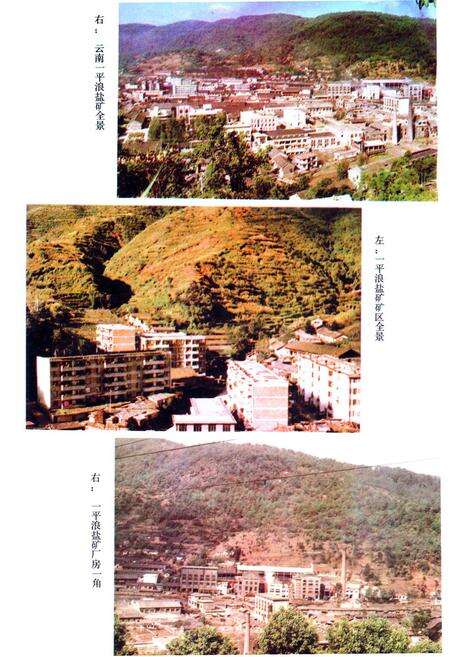 《轻纺化工业志》.pdf_云南省志预览图2