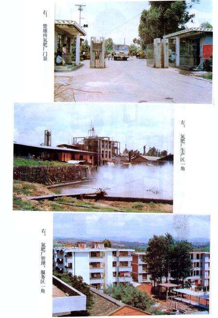 《轻纺化工业志》.pdf_云南省志预览图5