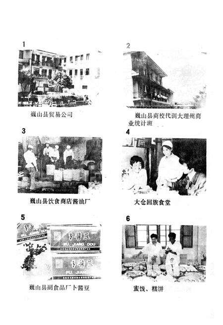 《巍山彝族回族自治县商业志》.pdf_云南省志预览图3