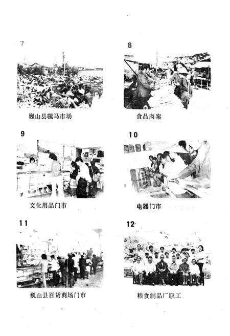 《巍山彝族回族自治县商业志》.pdf_云南省志预览图4