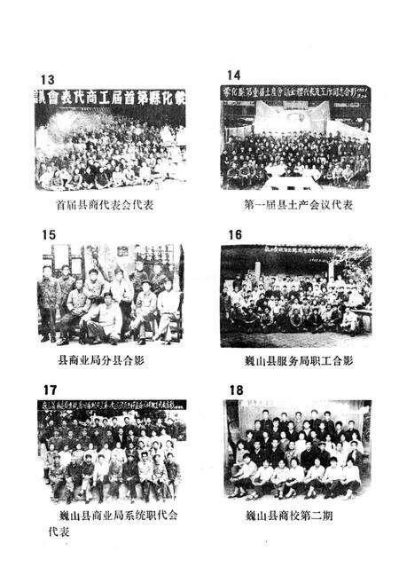 《巍山彝族回族自治县商业志》.pdf_云南省志预览图5