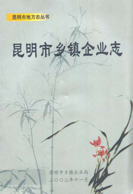 《昆明市乡镇企业志》.pdf_云南省志缩略图