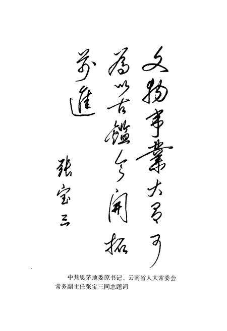 《思茅地区文物志》.pdf_云南省志预览图4