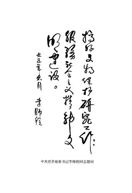 《思茅地区文物志》.pdf_云南省志预览图5
