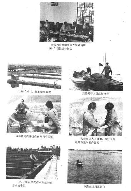 《昆明渔业志》.pdf_云南省志预览图3