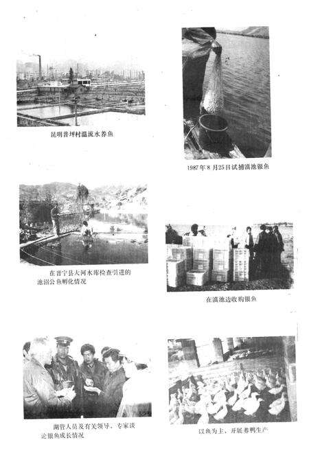 《昆明渔业志》.pdf_云南省志预览图4