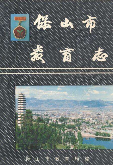 《保山市教育志》.pdf_云南省志缩略图