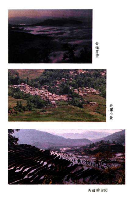 《金平民族志》.pdf_云南省志预览图3