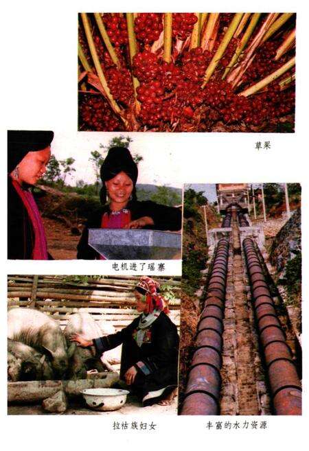 《金平民族志》.pdf_云南省志预览图5