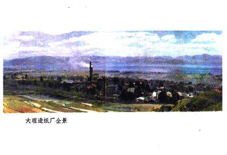 《大理造纸厂厂志》.pdf_云南省志预览图4