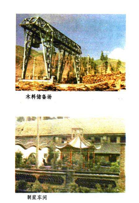 《大理造纸厂厂志》.pdf_云南省志预览图5