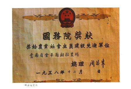 《《国营金平农场志》》.pdf_云南省志预览图3