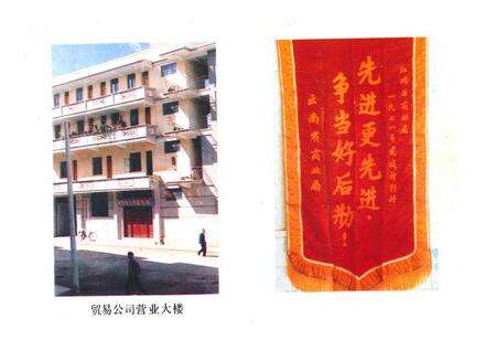 《《江川县商业志》》.pdf_云南省志预览图3