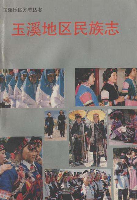 《玉溪地区民族志》.pdf_云南省志缩略图