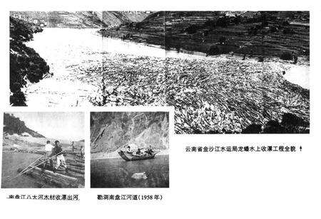 《云南省林业勘察设计院志》.pdf_云南省志预览图3