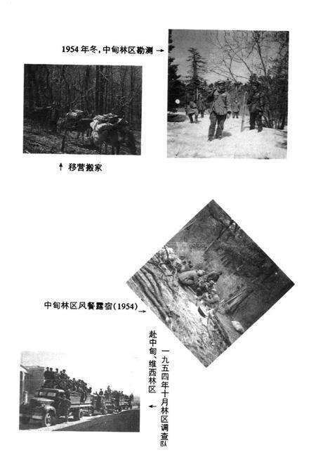 《云南省林业勘察设计院志》.pdf_云南省志预览图4