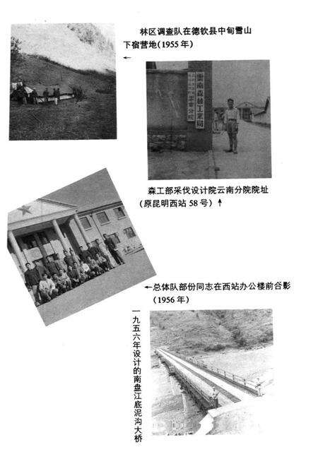 《云南省林业勘察设计院志》.pdf_云南省志预览图5