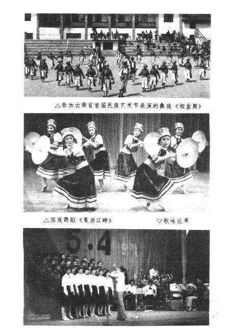 《文化艺术志》.pdf_云南省志预览图5