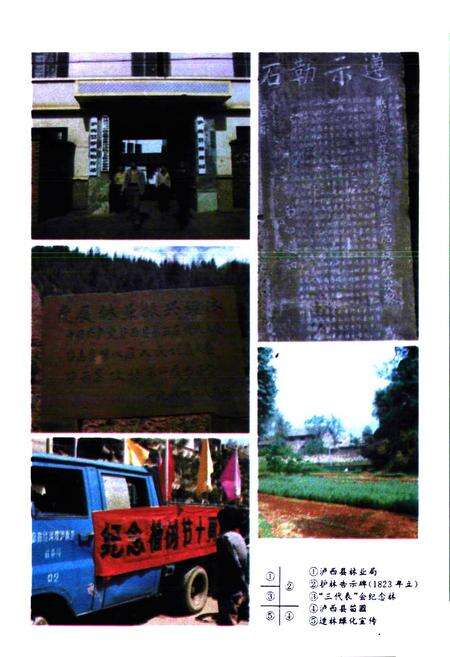 《泸西县林业志》.pdf_云南省志预览图3