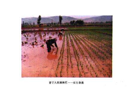 《农业志》.pdf_云南省志预览图5