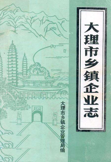 《《大理市乡镇企业志》》.pdf_云南省志缩略图
