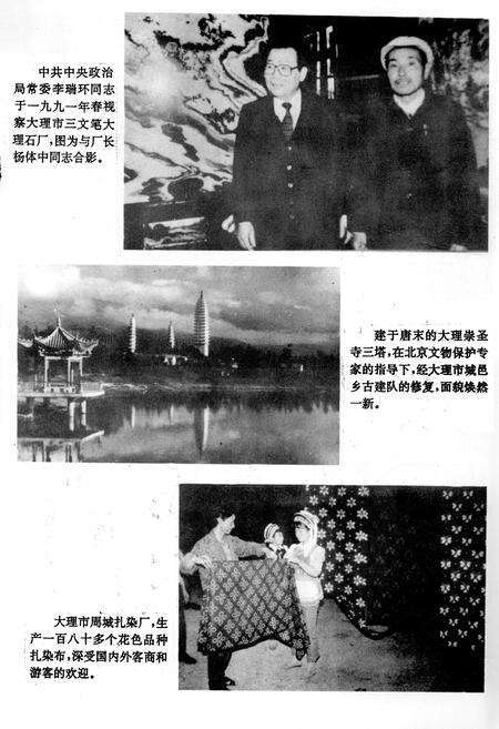 《《大理市乡镇企业志》》.pdf_云南省志预览图2