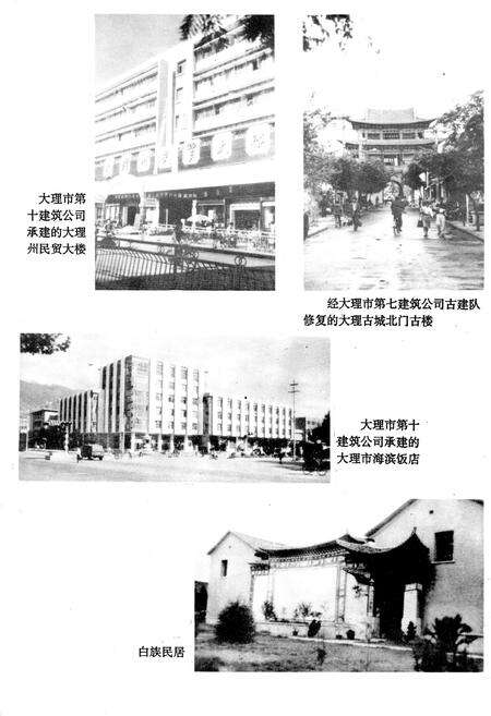 《《大理市乡镇企业志》》.pdf_云南省志预览图4