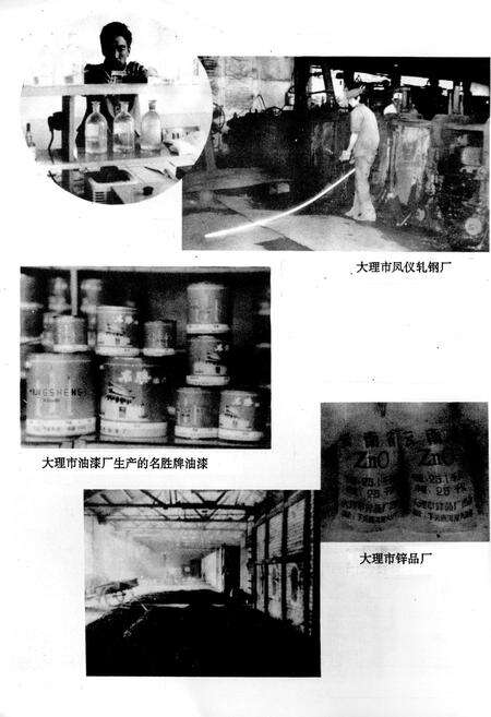 《《大理市乡镇企业志》》.pdf_云南省志预览图5